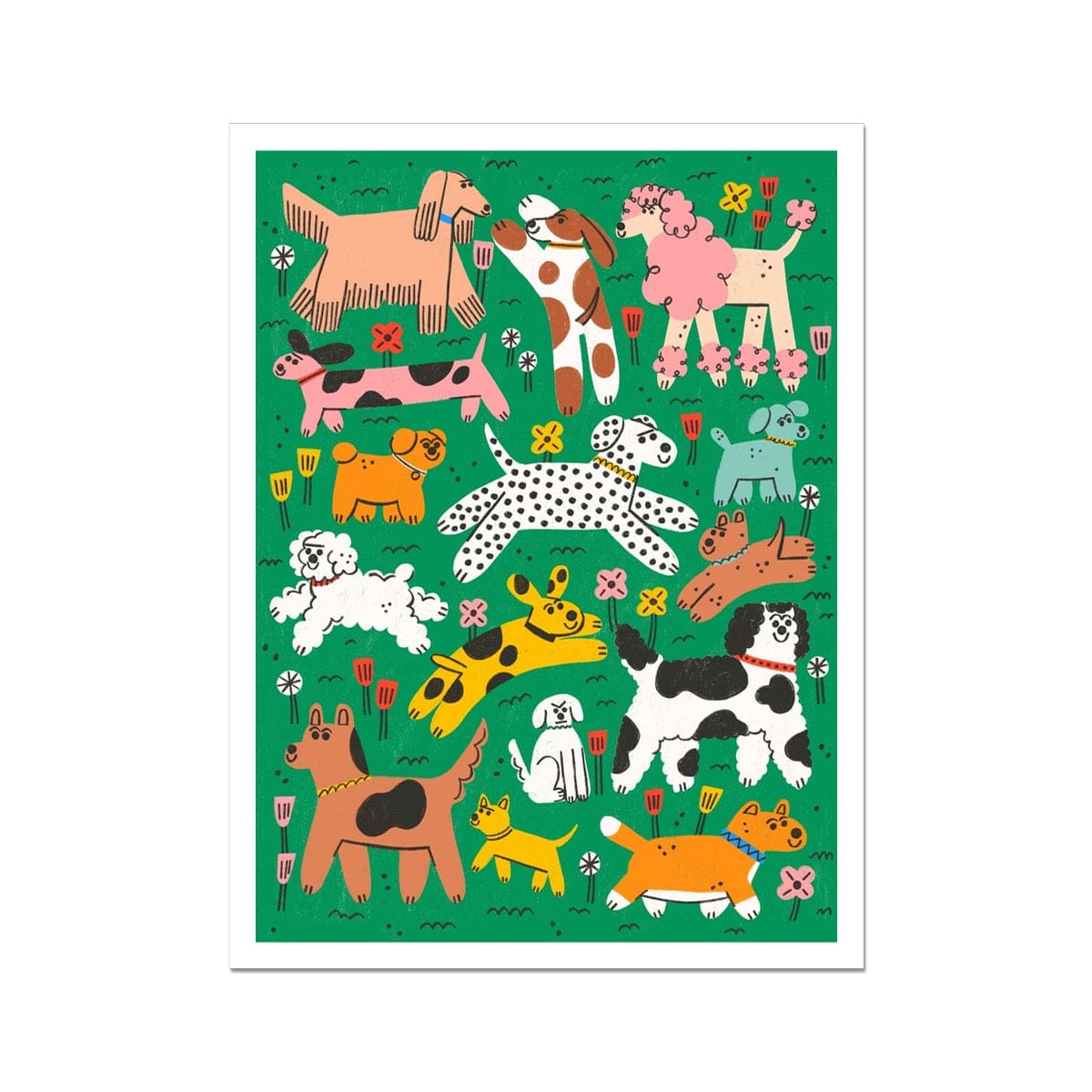 Tess Smith-Roberts - Dogs – RoomFifty