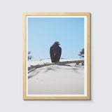 Room Fifty 12 x 16 (30 x 40cm) / Framed Prints natural Jaap Scheeren - Fuck you too Crow