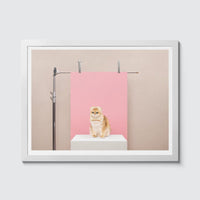 Room Fifty 12 x 16 (30 x 40cm) / Framed Prints white Anne Claire de Breij - Pink Cat