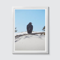 Room Fifty 12 x 16 (30 x 40cm) / Framed Prints white Jaap Scheeren | Fuck you too Crow