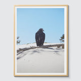 Room Fifty 24 x 32 (60 x 80cm) / Framed Prints natural Jaap Scheeren - Fuck you too Crow