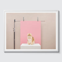 Room Fifty 24 x 32 (60 x 80cm) / Framed Prints white Anne Claire de Breij | Pink Cat