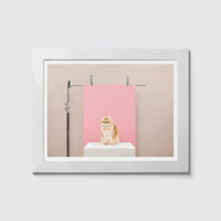 Room Fifty 6 x 8 (15 x 20cm) / Framed Prints white Anne Claire de Breij | Pink Cat