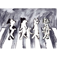 Room Fifty Cats and dogs on Abbey Road | Wei Hsuan Chen
