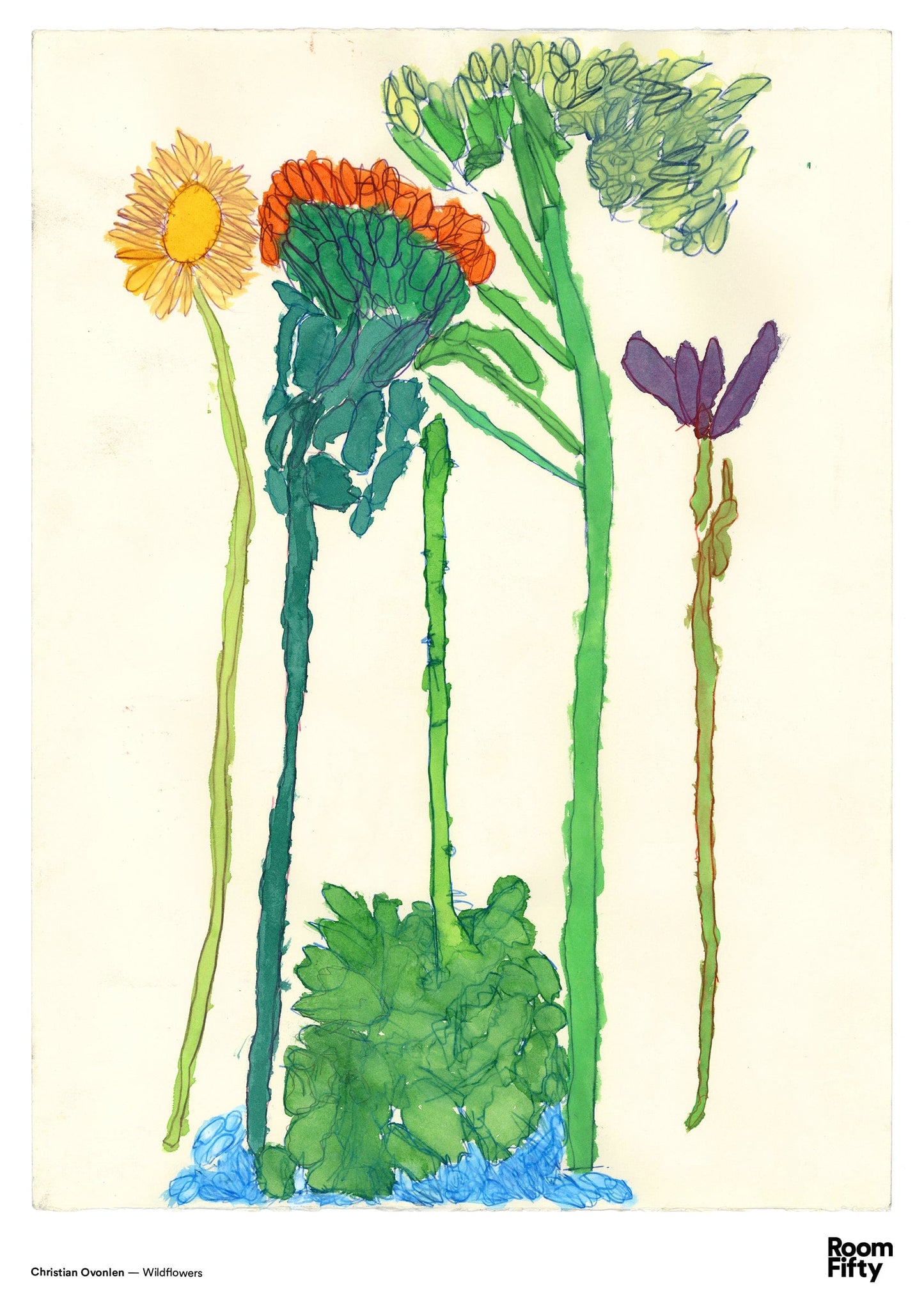 Captain Cyan Poster A2 (42x59.4cm) Christian Ovonlen | Wildflowers | Poster