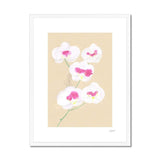 Prodigi Fine art 18"x24" / White Frame Orchid Framed Print