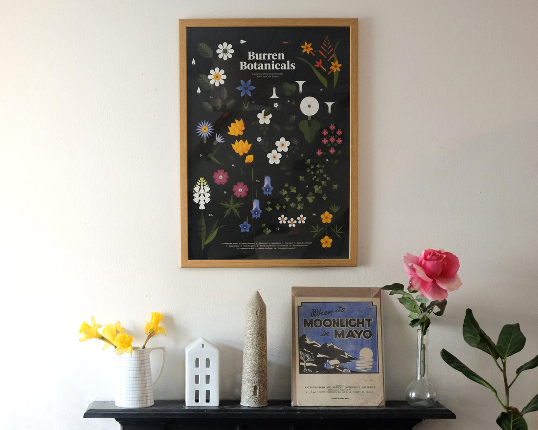 Rear Window: Fuchsia MacAree