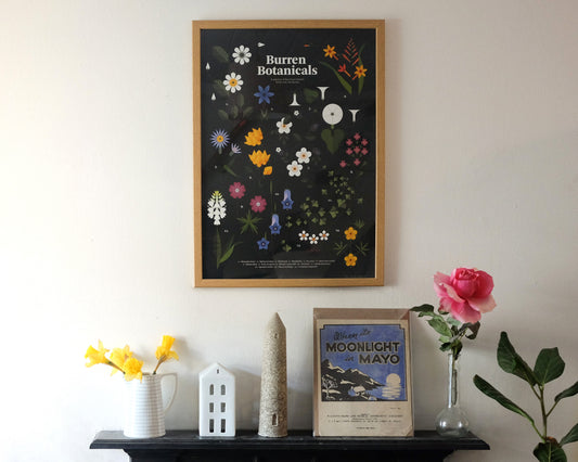 Rear Window: Fuchsia MacAree