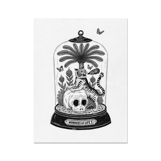 Bene Rohlmann | Wonders of Life