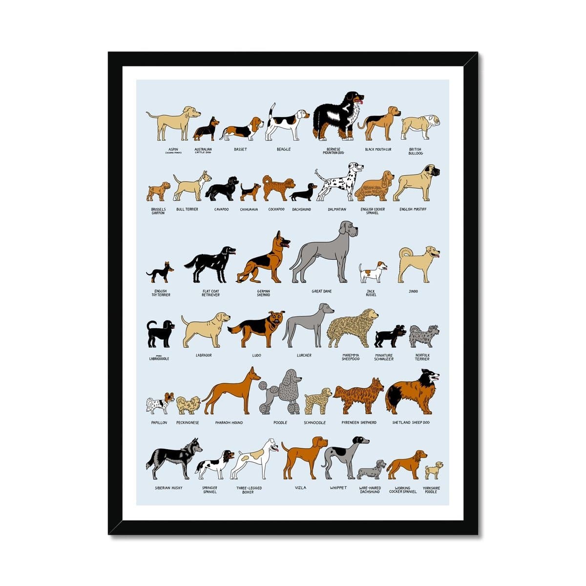 Prodigi Fine art 18"x24" / Black Frame Dog Breeds Framed Print