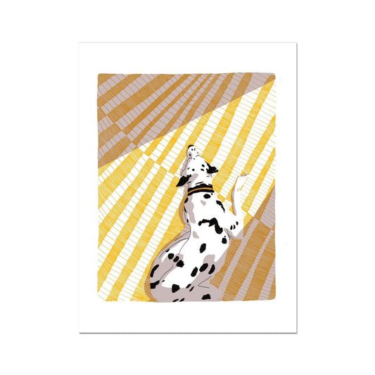 Carole Bouvier | Blanca