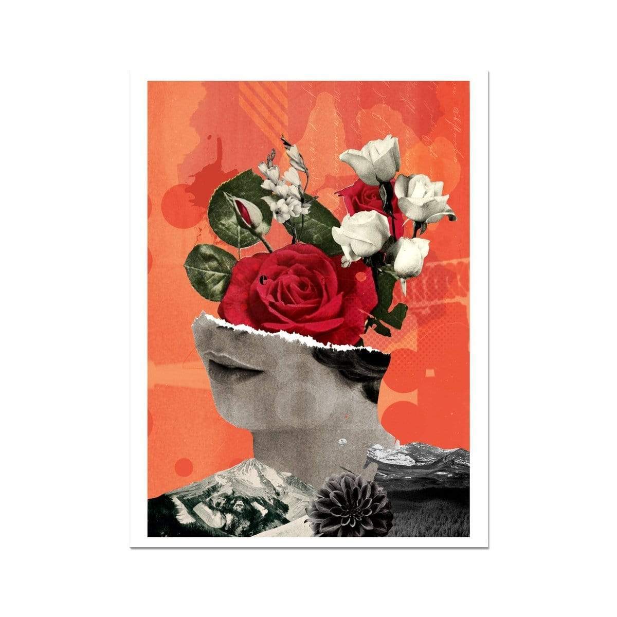 Eleanor Shakespeare | Grow