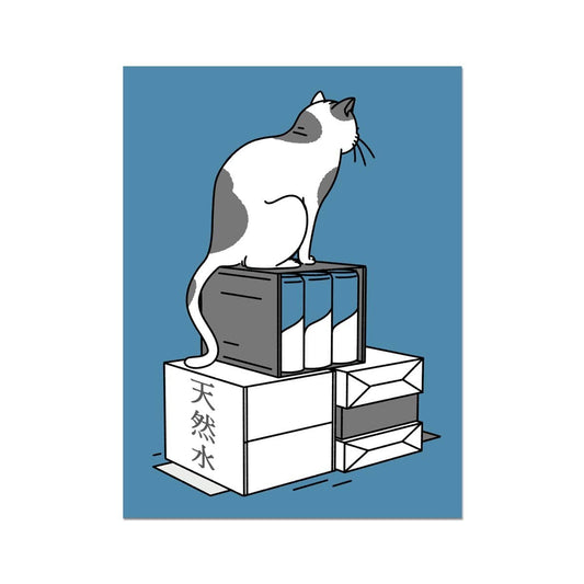 Janne Iivonen | Bodega Cat