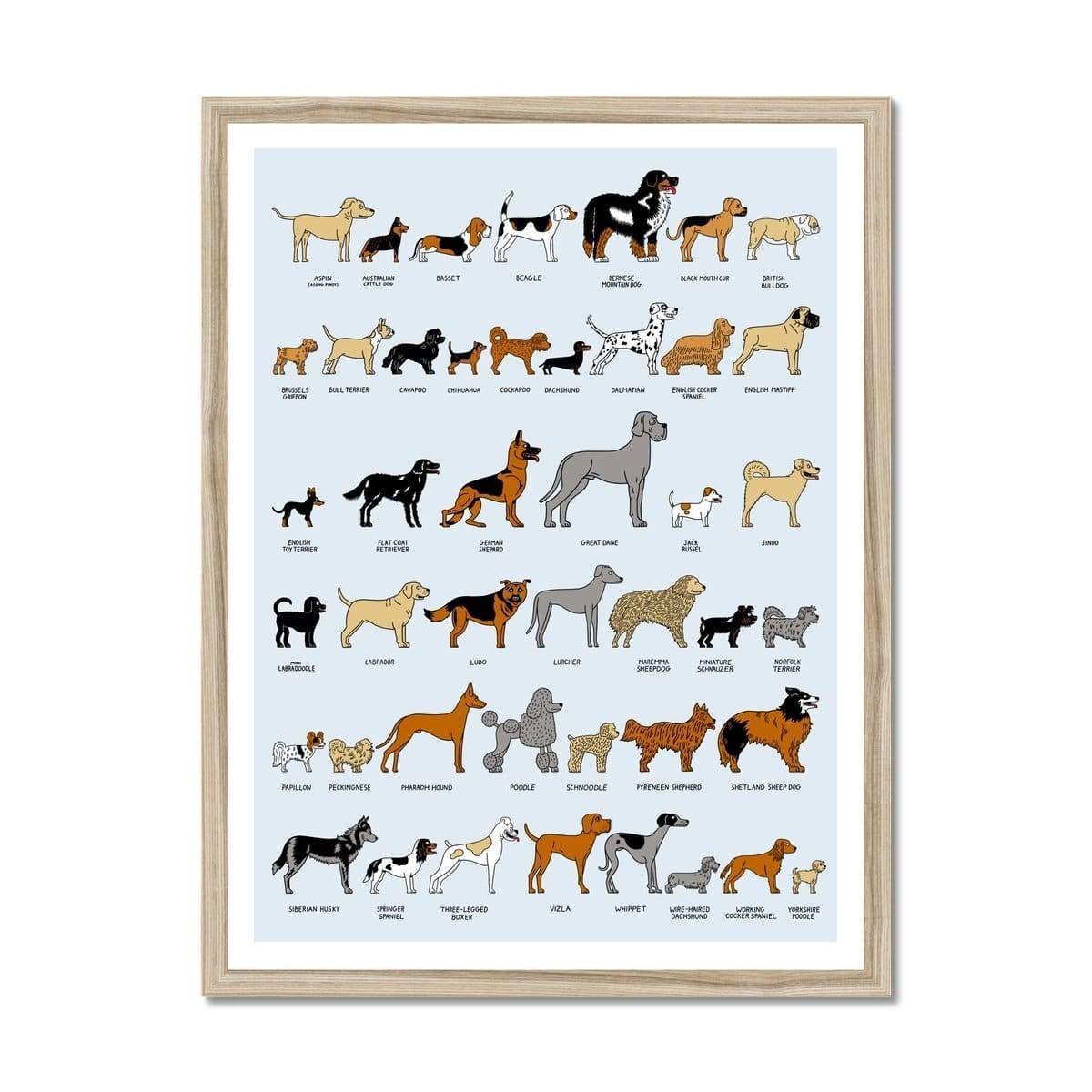 Prodigi Fine art 18"x24" / Natural Frame Dog Breeds Framed Print