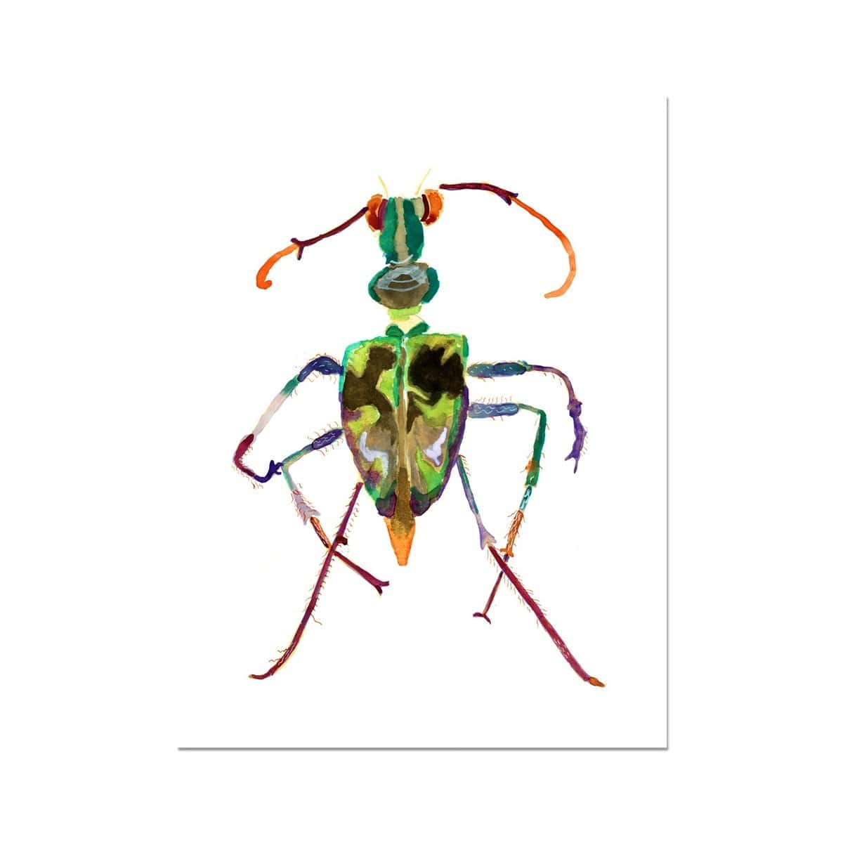 Philomena Powell | Tiger Beetle