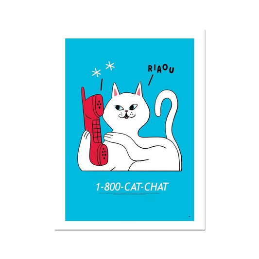 Stephen Maurice Graham | Cat Chat