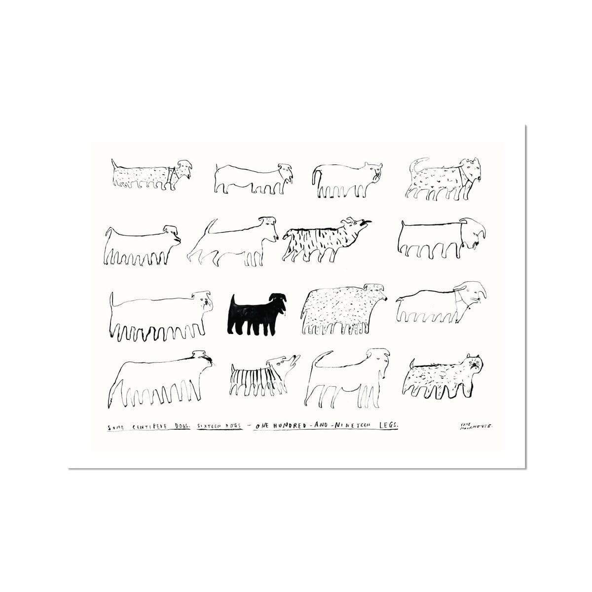 Faye Moorhouse | Some Centipede Dogs