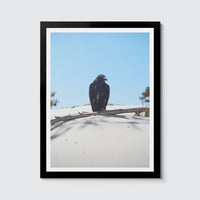 Room Fifty 12 x 16 (30 x 40cm) / Framed Prints black Jaap Scheeren | Fuck you too Crow