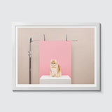 Room Fifty 12 x 16 (30 x 40cm) / Framed Prints white Anne Claire de Breij - Pink Cat