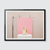 Room Fifty 18 x 24 (45 x 60cm) / Framed Prints black Anne Claire de Breij | Pink Cat