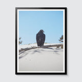 Room Fifty 18 x 24 (45 x 60cm) / Framed Prints black Jaap Scheeren - Fuck you too Crow