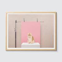 Room Fifty 18 x 24 (45 x 60cm) / Framed Prints natural Anne Claire de Breij | Pink Cat
