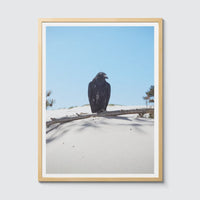 Room Fifty 18 x 24 (45 x 60cm) / Framed Prints natural Jaap Scheeren - Fuck you too Crow