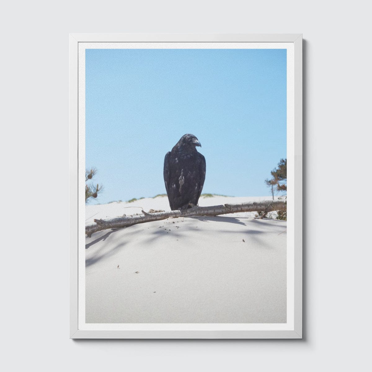 Room Fifty 18 x 24 (45 x 60cm) / Framed Prints white Jaap Scheeren - Fuck you too Crow