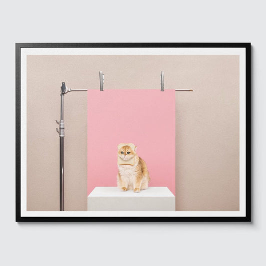 Room Fifty 24 x 32 (60 x 80cm) / Framed Prints black Anne Claire de Breij | Pink Cat