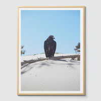 Room Fifty 24 x 32 (60 x 80cm) / Framed Prints natural Jaap Scheeren - Fuck you too Crow