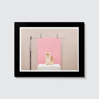 Room Fifty 6 x 8 (15 x 20cm) / Framed Prints black Anne Claire de Breij - Pink Cat
