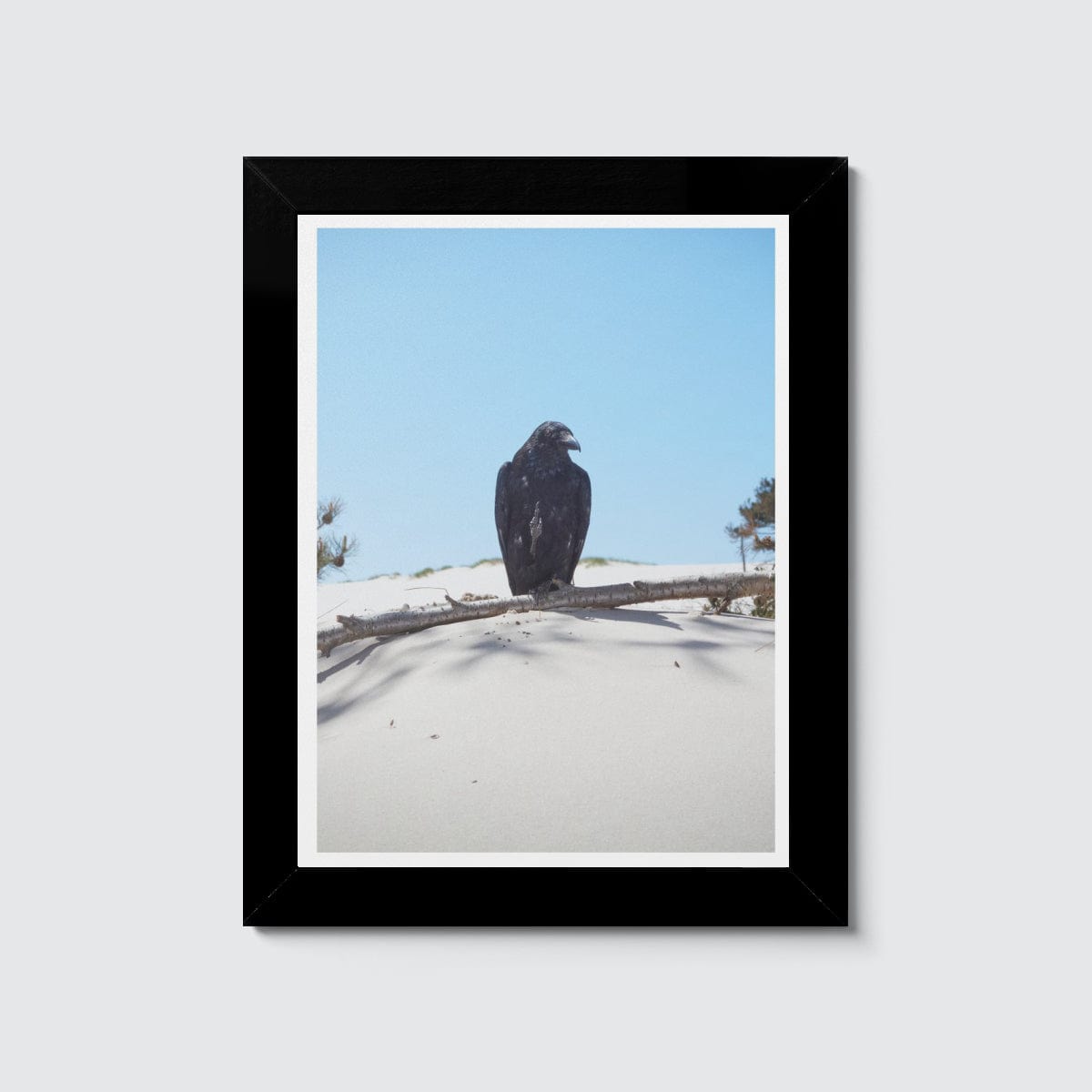 Room Fifty 6 x 8 (15 x 20cm) / Framed Prints black Jaap Scheeren | Fuck you too Crow