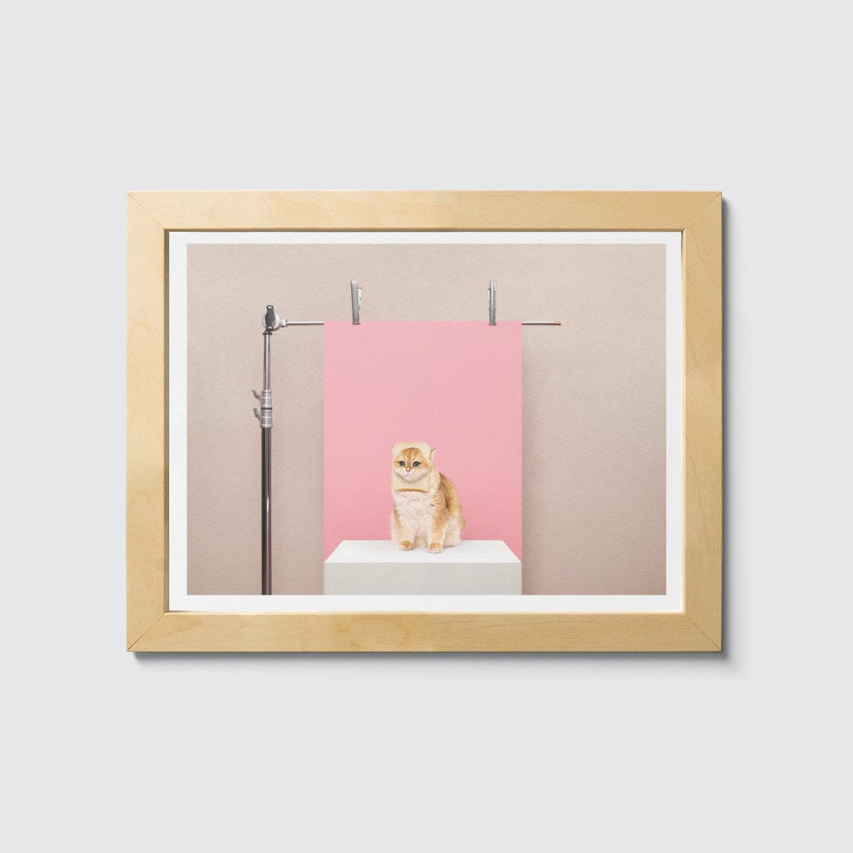 Room Fifty 6 x 8 (15 x 20cm) / Framed Prints natural Anne Claire de Breij - Pink Cat