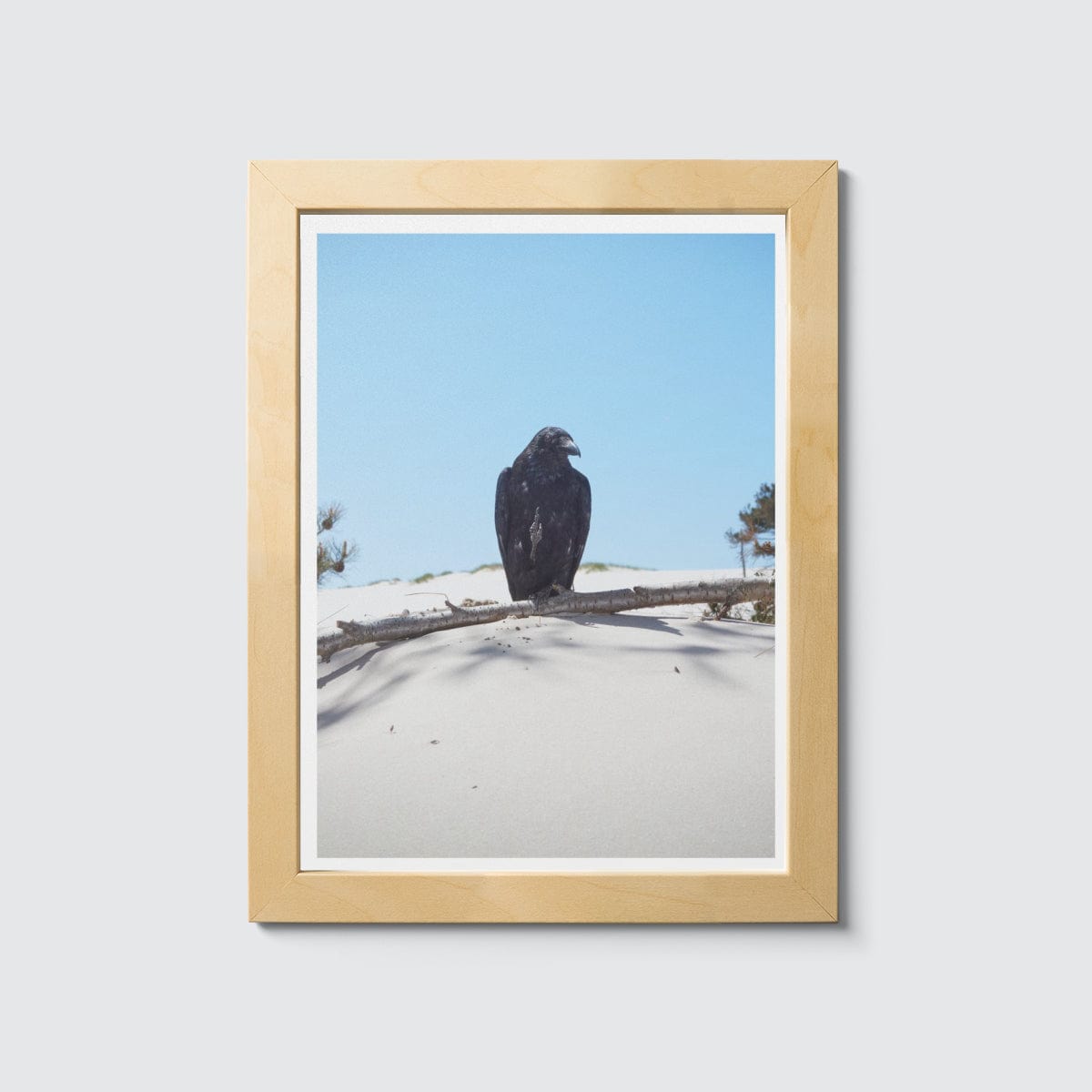 Room Fifty 6 x 8 (15 x 20cm) / Framed Prints natural Jaap Scheeren | Fuck you too Crow