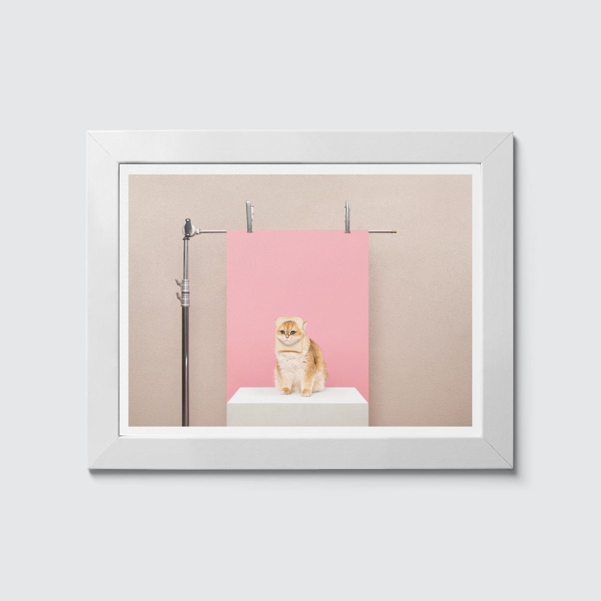 Room Fifty 6 x 8 (15 x 20cm) / Framed Prints white Anne Claire de Breij | Pink Cat