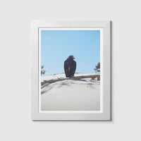 Room Fifty 6 x 8 (15 x 20cm) / Framed Prints white Jaap Scheeren | Fuck you too Crow