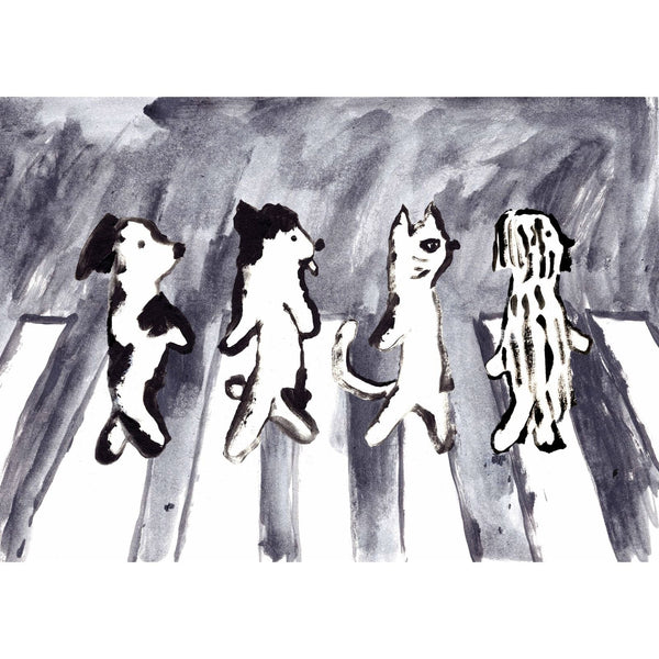 Room Fifty Cats and dogs on Abbey Road | Wei Hsuan Chen