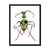 Prodigi Fine art 18"x24" / Black Frame Philomena Powell | Tiger Beetle Framed Print