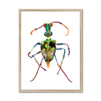 Prodigi Fine art 18"x24" / Natural Frame Philomena Powell | Tiger Beetle Framed Print