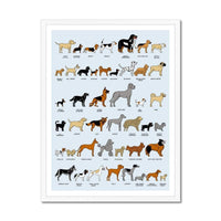 Prodigi Fine art 18"x24" / White Frame Dog Breeds Framed Print