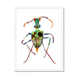 Prodigi Fine art 18"x24" / White Frame Philomena Powell | Tiger Beetle Framed Print