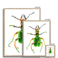 Prodigi Fine art Green Tiger Beetle Framed Print